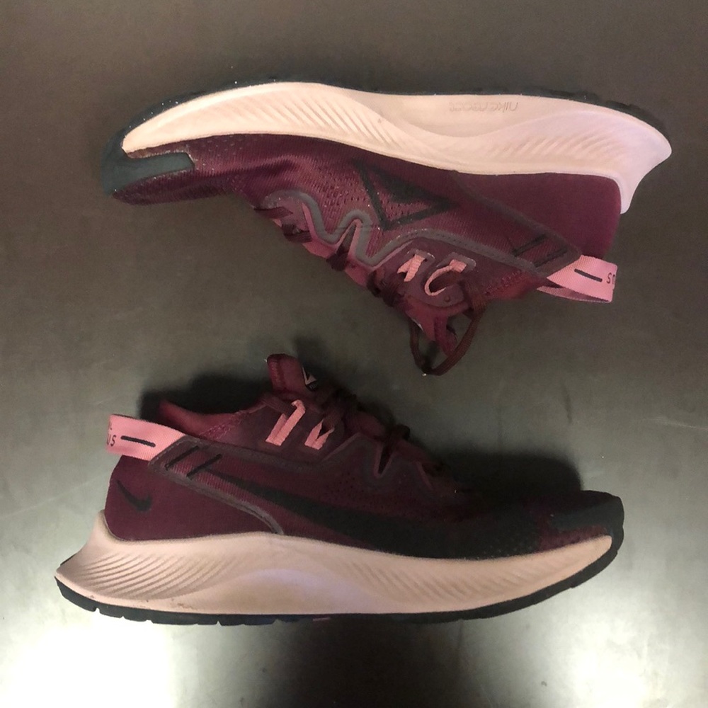 Nike Pegasus trail 2
